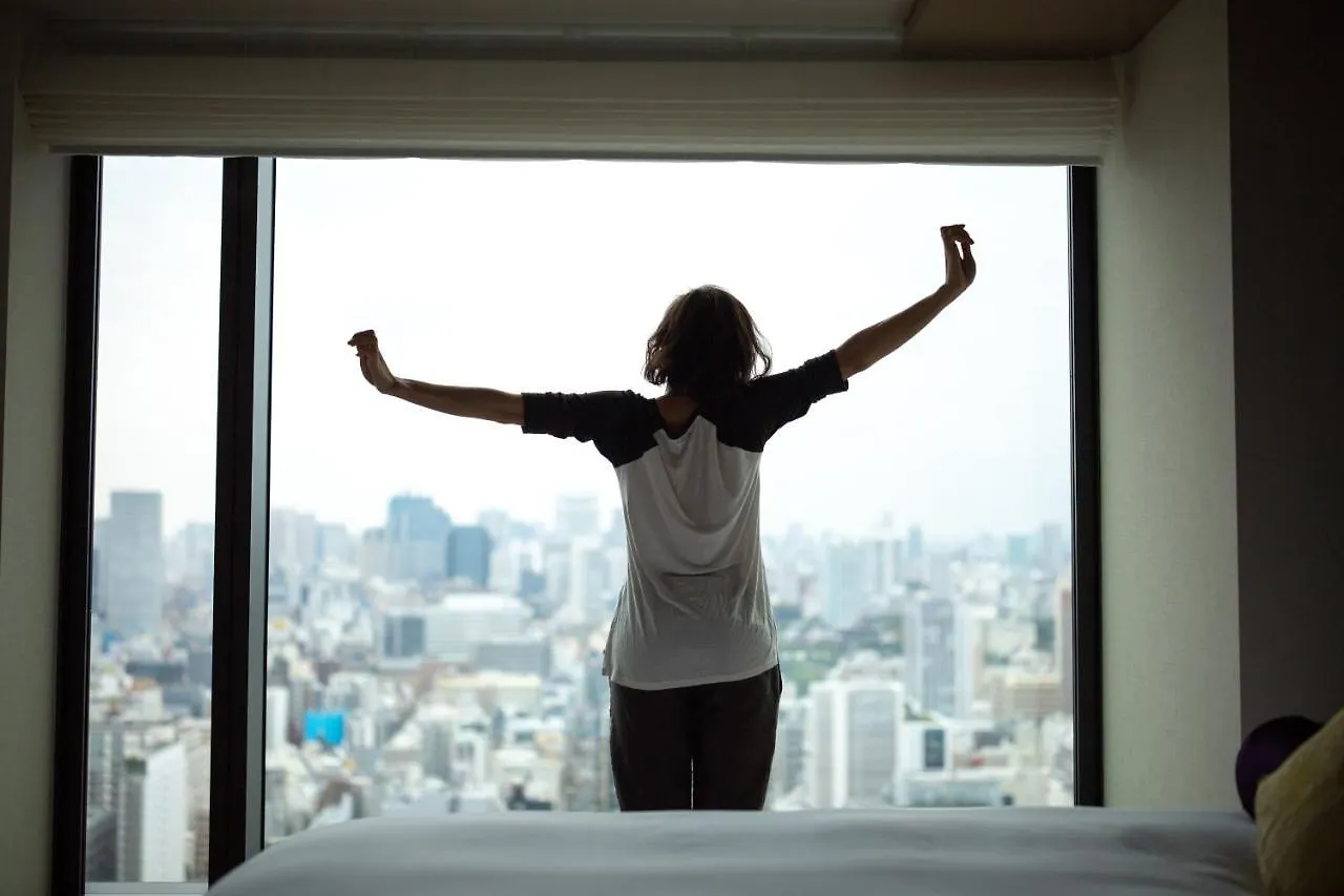 The Blossom Hibiya Tokio Hotel